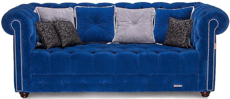 Chester-blue-1 800 web