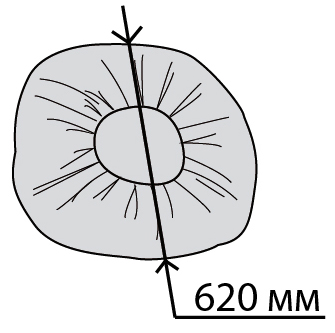 VALENCIYA schema pod
